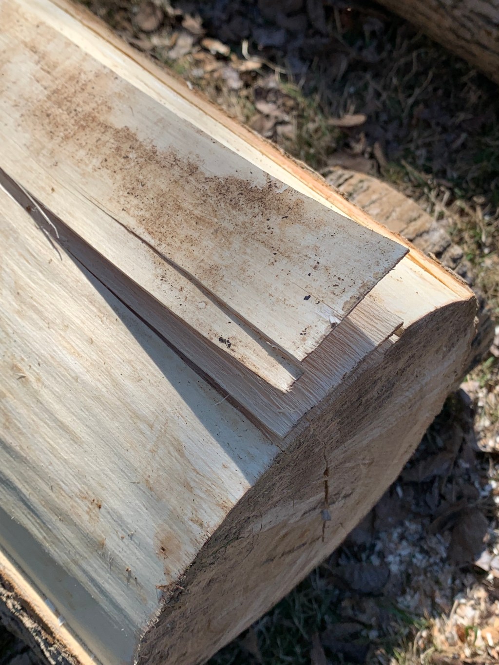 Come learn with&nbsp;us!