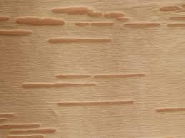 Language Program Development